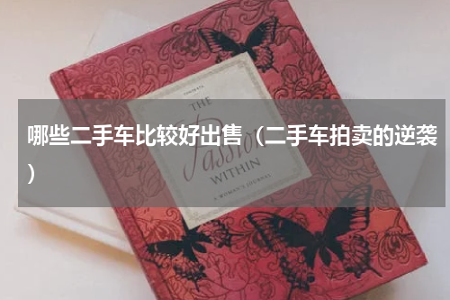 哪些二手车比较好出售（二手车拍卖的逆袭）
