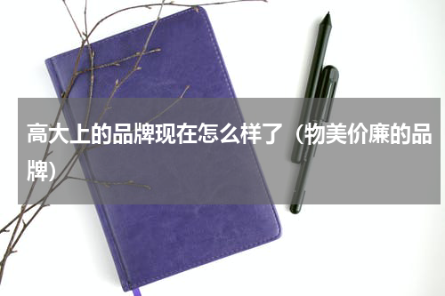 高大上的品牌现在怎么样了（物美价廉的品牌）