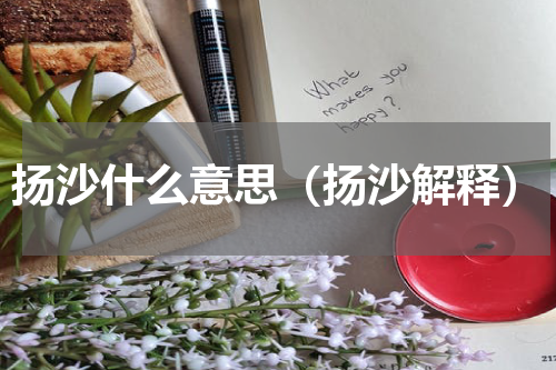 扬沙什么意思（扬沙解释）