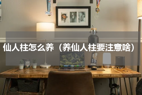 仙人柱怎么养（养仙人柱要注意啥）