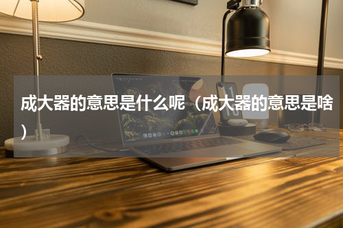 成大器的意思是什么呢（成大器的意思是啥）