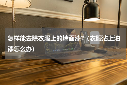 怎样能去除衣服上的墙面漆?（衣服沾上油漆怎么办）