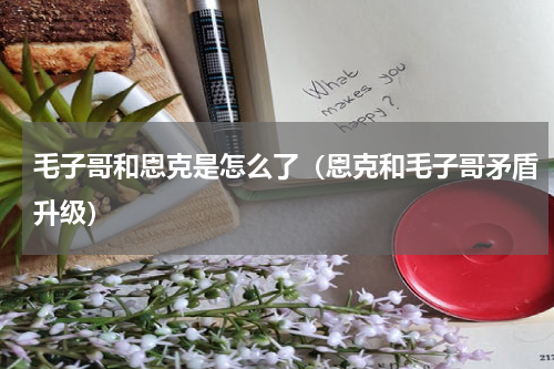 毛子哥和恩克是怎么了（恩克和毛子哥矛盾升级）