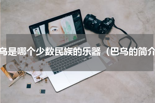 巴乌是哪个少数民族的乐器（巴乌的简介）