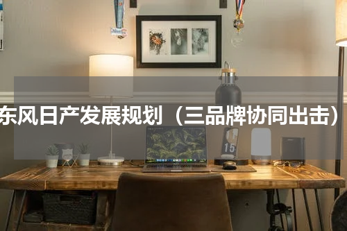 东风日产发展规划（三品牌协同出击）