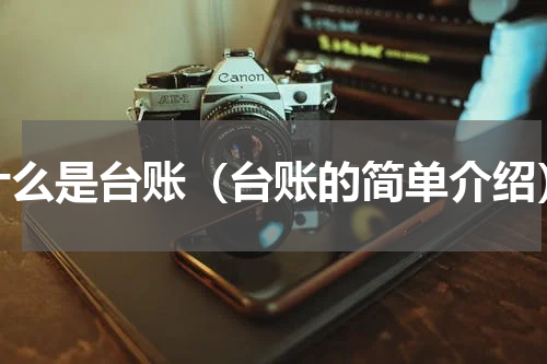 什么是台账（台账的简单介绍）