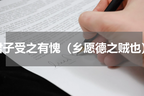 君子受之有愧（乡愿德之贼也）