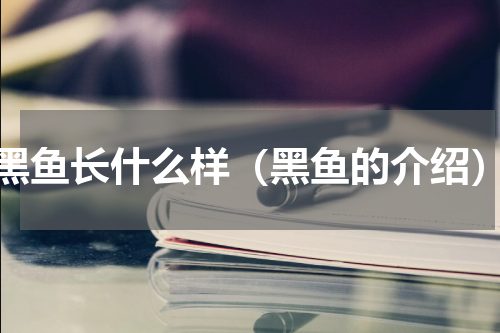 黑鱼长什么样（黑鱼的介绍）