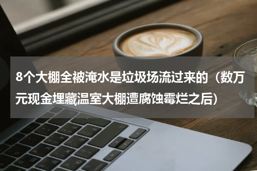 8个大棚全被淹水是垃圾场流过来的（数万元现金埋藏温室大棚遭腐蚀霉烂之后）