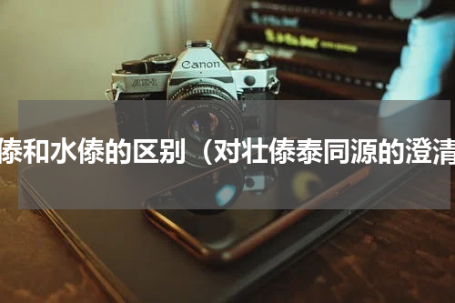 汉傣和水傣的区别（对壮傣泰同源的澄清）