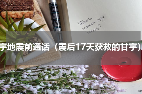 甘宇地震前通话（震后17天获救的甘宇）