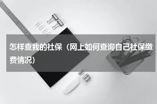怎样查我的社保（网上如何查询自己社保缴费情况）