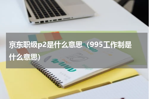 京东职级p2是什么意思（995工作制是什么意思）