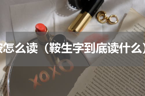 鞍怎么读（鞍生字到底读什么）