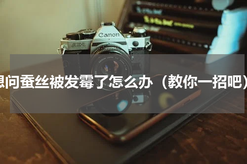 想问蚕丝被发霉了怎么办（教你一招吧）