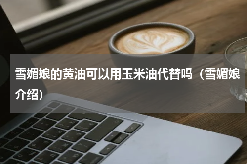 雪媚娘的黄油可以用玉米油代替吗（雪媚娘介绍）