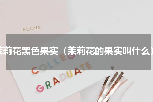 茉莉花黑色果实（茉莉花的果实叫什么）