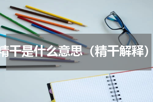 精干是什么意思（精干解释）