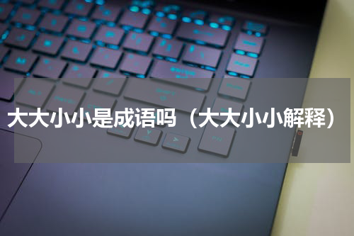 大大小小是成语吗（大大小小解释）