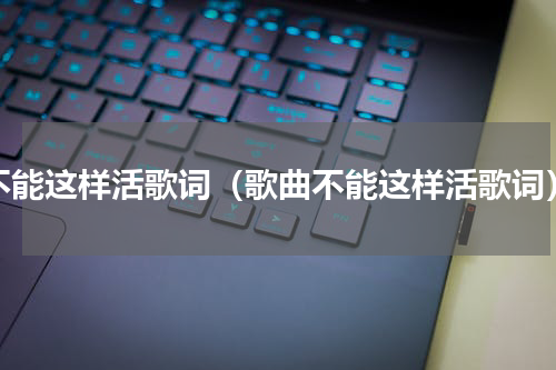 不能这样活歌词（歌曲不能这样活歌词）