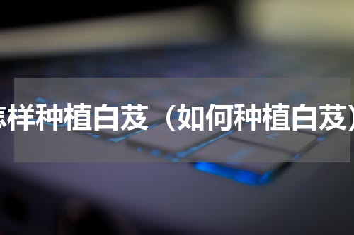怎样种植白芨（如何种植白芨）
