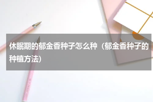 休眠期的郁金香种子怎么种（郁金香种子的种植方法）