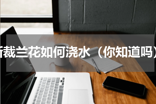 新裁兰花如何浇水（你知道吗）