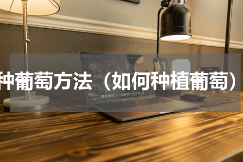 种葡萄方法（如何种植葡萄）