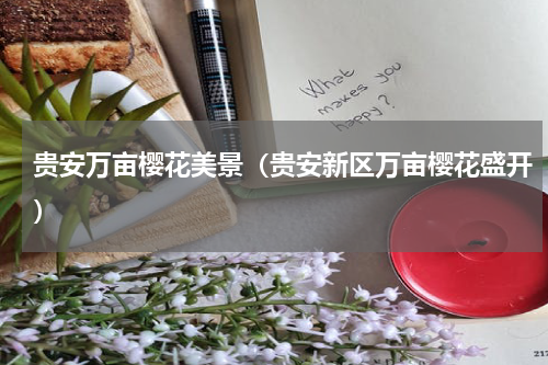 贵安万亩樱花美景（贵安新区万亩樱花盛开）