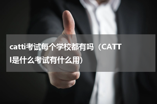 catti考试每个学校都有吗（CATTI是什么考试有什么用）