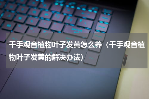 千手观音植物叶子发黄怎么养（千手观音植物叶子发黄的解决办法）