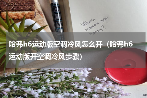哈弗h6运动版空调冷风怎么开（哈弗h6运动版开空调冷风步骤）
