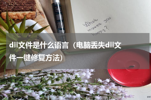 dll文件是什么语言（电脑丢失dll文件一键修复方法）