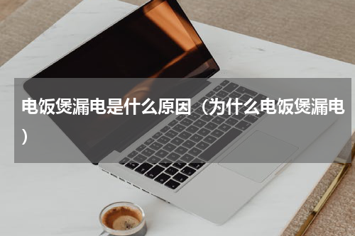 电饭煲漏电是什么原因（为什么电饭煲漏电）