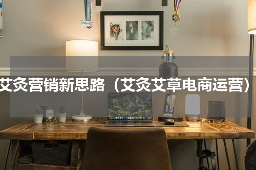 艾灸营销新思路（艾灸艾草电商运营）