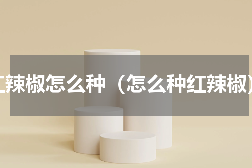 红辣椒怎么种（怎么种红辣椒）