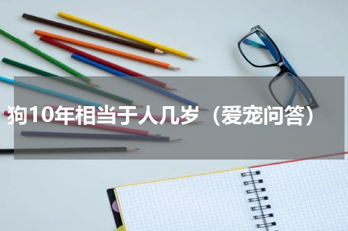 狗10年相当于人几岁（爱宠问答）