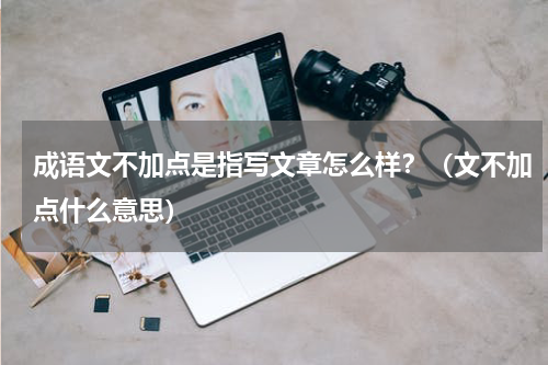成语文不加点是指写文章怎么样？（文不加点什么意思）