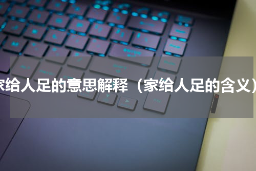 家给人足的意思解释（家给人足的含义）