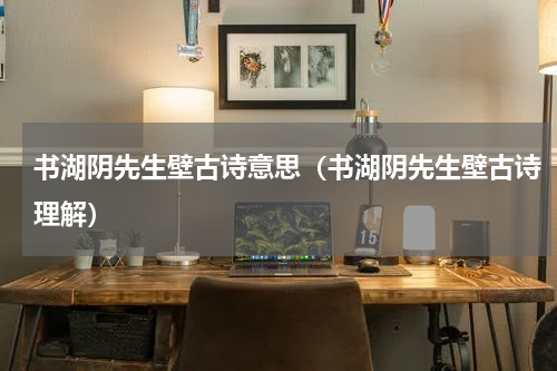 书湖阴先生壁古诗意思（书湖阴先生壁古诗理解）