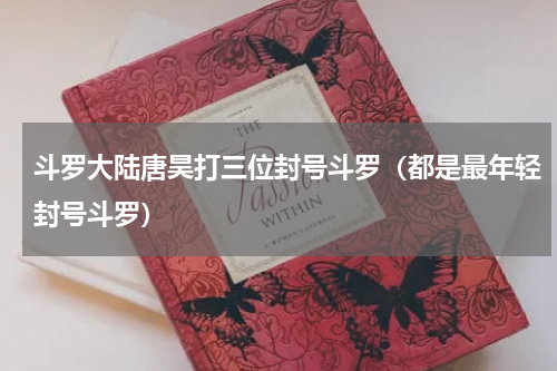 斗罗大陆唐昊打三位封号斗罗（都是最年轻封号斗罗）
