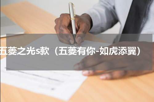 五菱之光s款（五菱有你-如虎添翼）