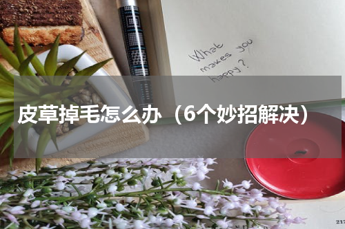 皮草掉毛怎么办（6个妙招解决）