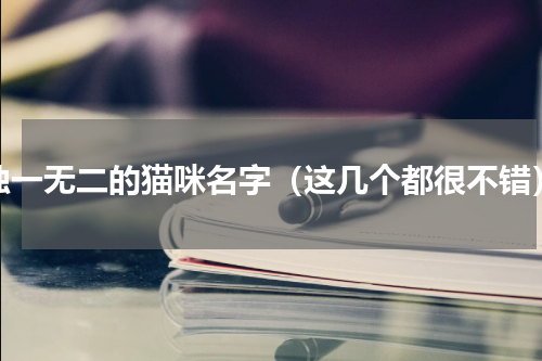 独一无二的猫咪名字（这几个都很不错）
