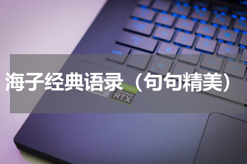海子经典语录（句句精美）