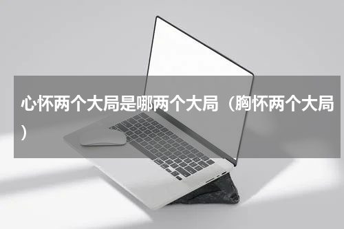 心怀两个大局是哪两个大局（胸怀两个大局）
