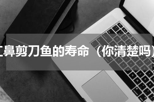 红鼻剪刀鱼的寿命（你清楚吗）