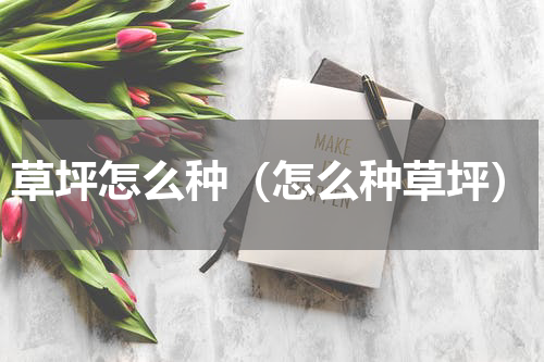 草坪怎么种（怎么种草坪）