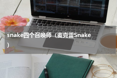 snake四个召唤师（麦克雷Snake）