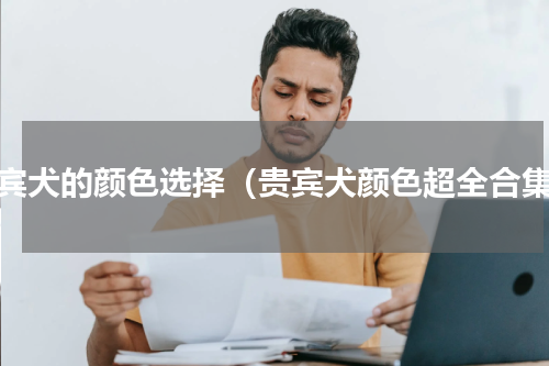 贵宾犬的颜色选择（贵宾犬颜色超全合集）